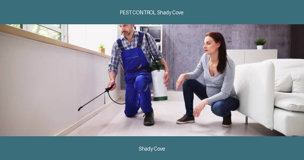 PEST CONTROL Shady Cove